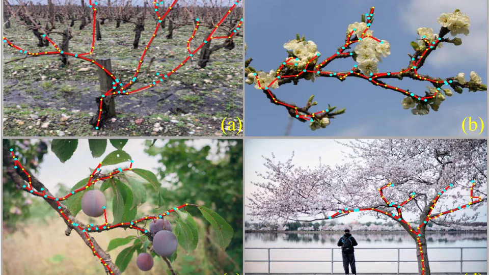 TreeFormer: Single-view plant skeleton estimation via tree-constrained graph generation