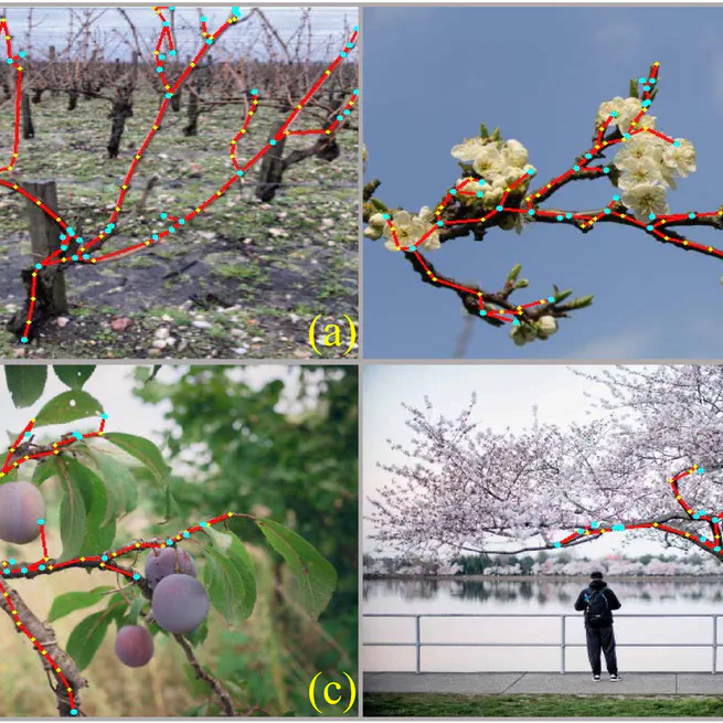 TreeFormer: Single-view plant skeleton estimation via tree-constrained graph generation