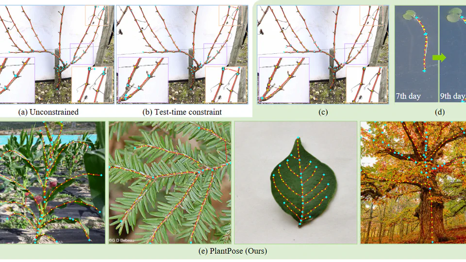 PlantPose: Universal plant skeleton estimation via tree-constrained graph generation