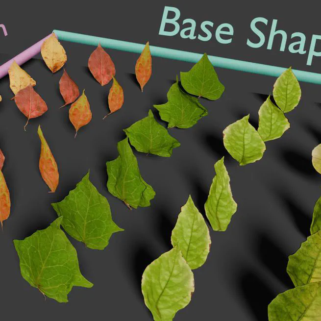 NeuraLeaf: Disentangled neural parametric modeling of leaf shape, deformation, and appearance