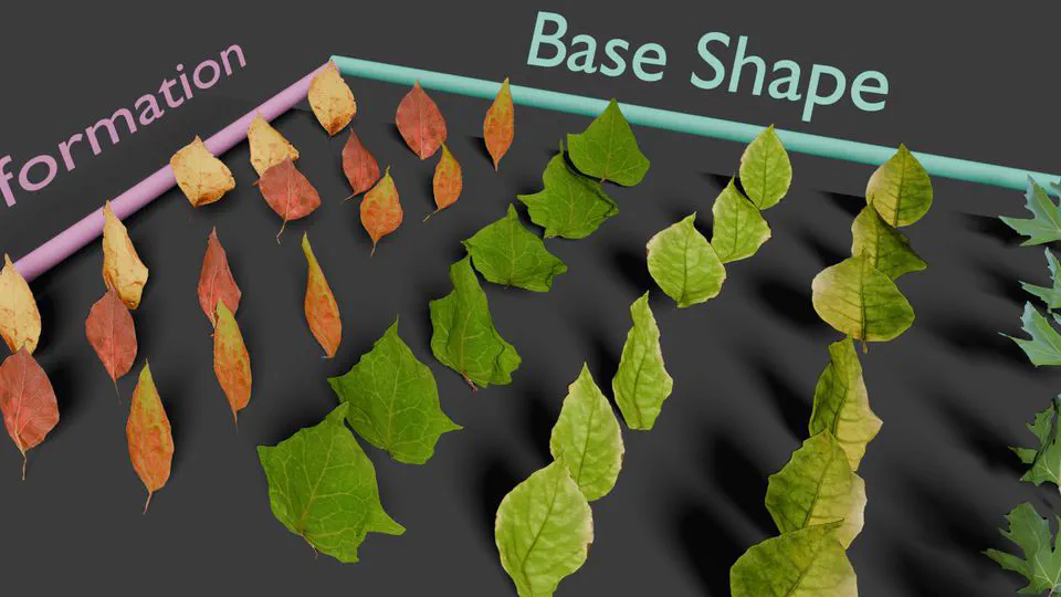 NeuraLeaf: Disentangled neural parametric modeling of leaf shape, deformation, and appearance