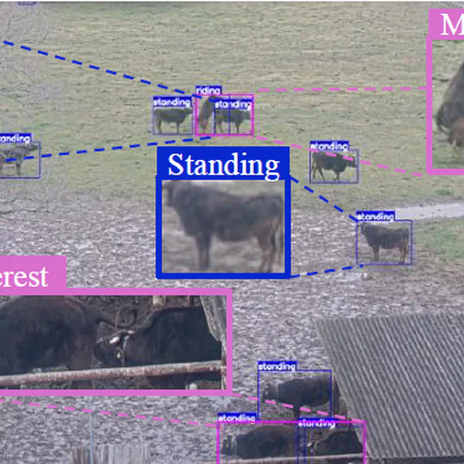 CattleAct: Cattle interaction detection with joint learning of action-interaction latent space