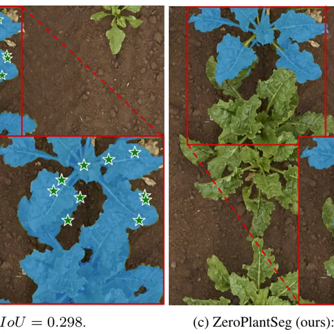 Zero-shot hierarchical plant segmentation via foundation segmentation models and text-to-image attention